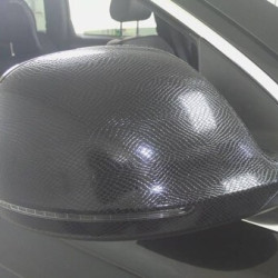 Černá hadí kůže